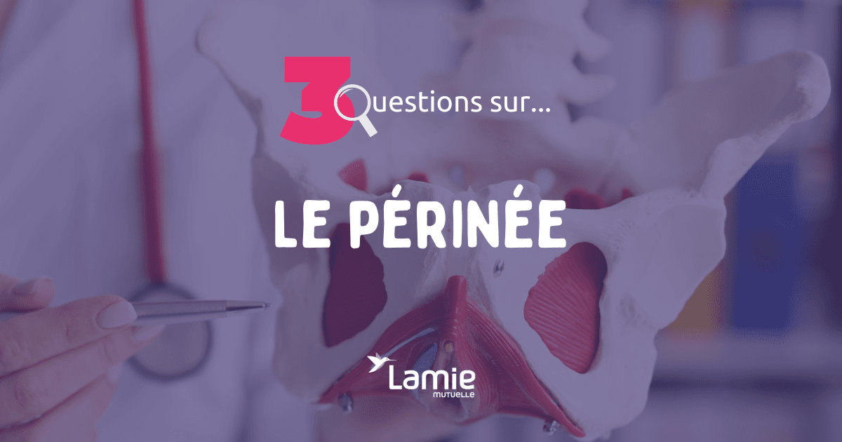 mieux connaitre le périnée