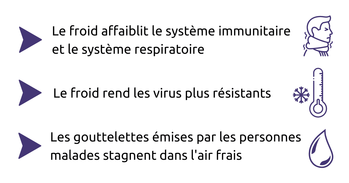 froid et maladies d'hiver.png